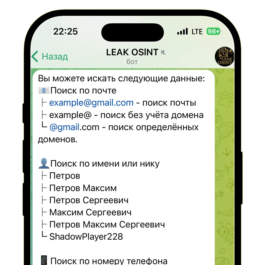 Leak OSINT